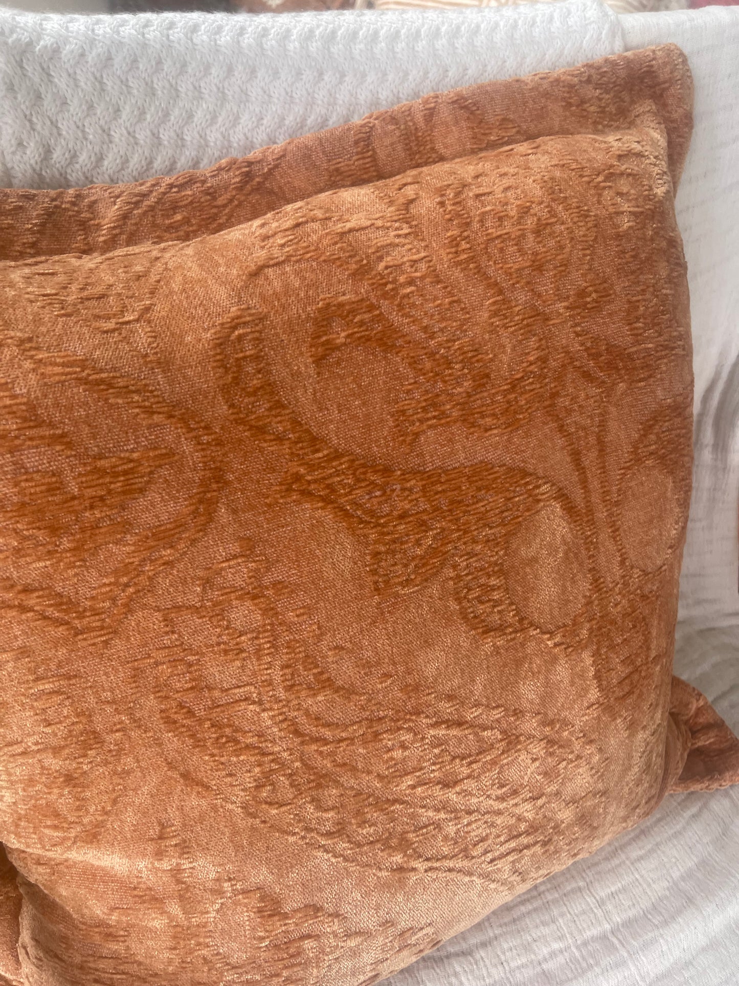 Pumpkin spice pillow, velvet pillow color