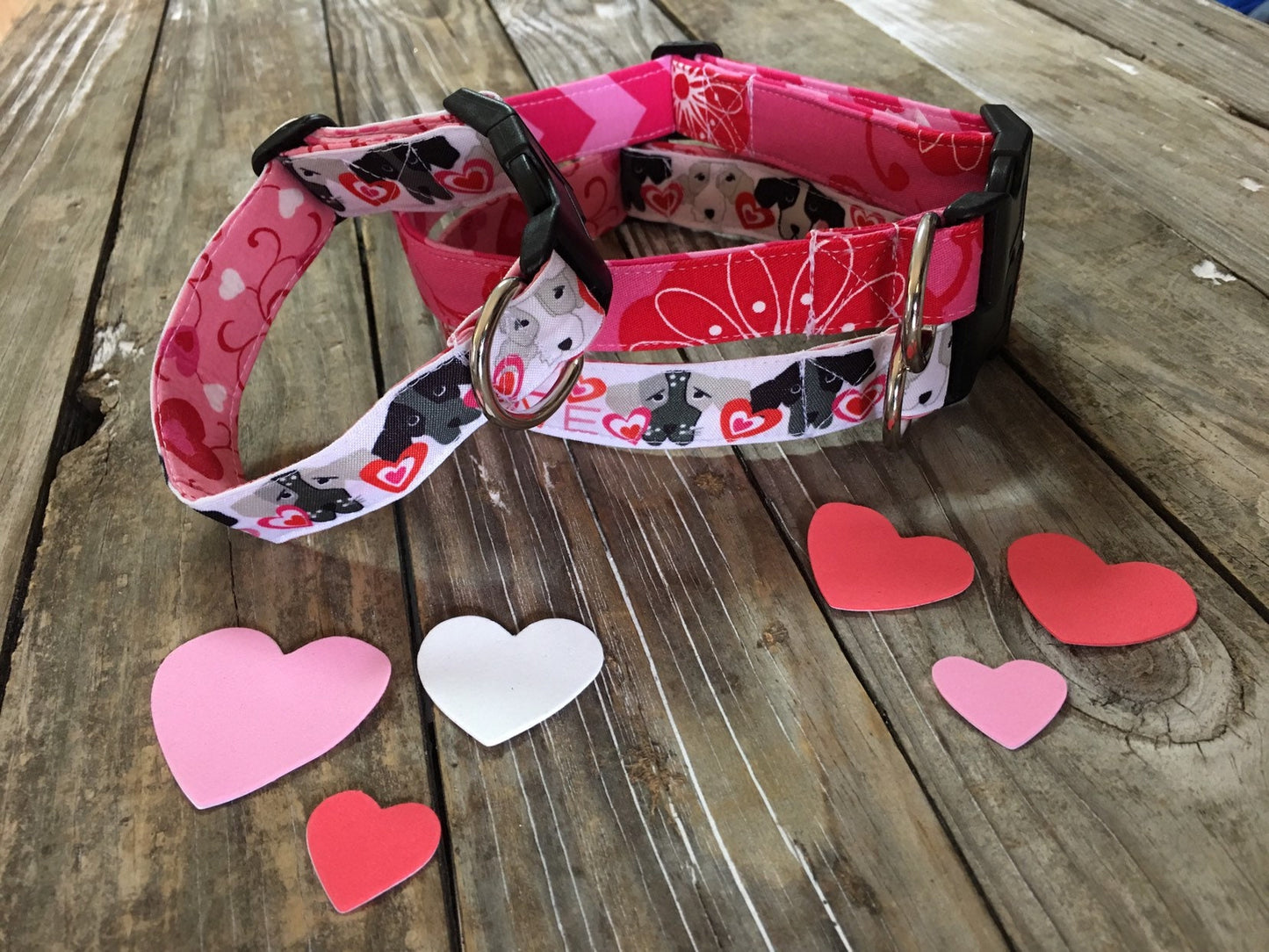 valentine dog collar, puppy love
