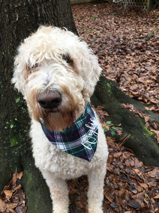 Plaid dog bandana, personalized dog bandana