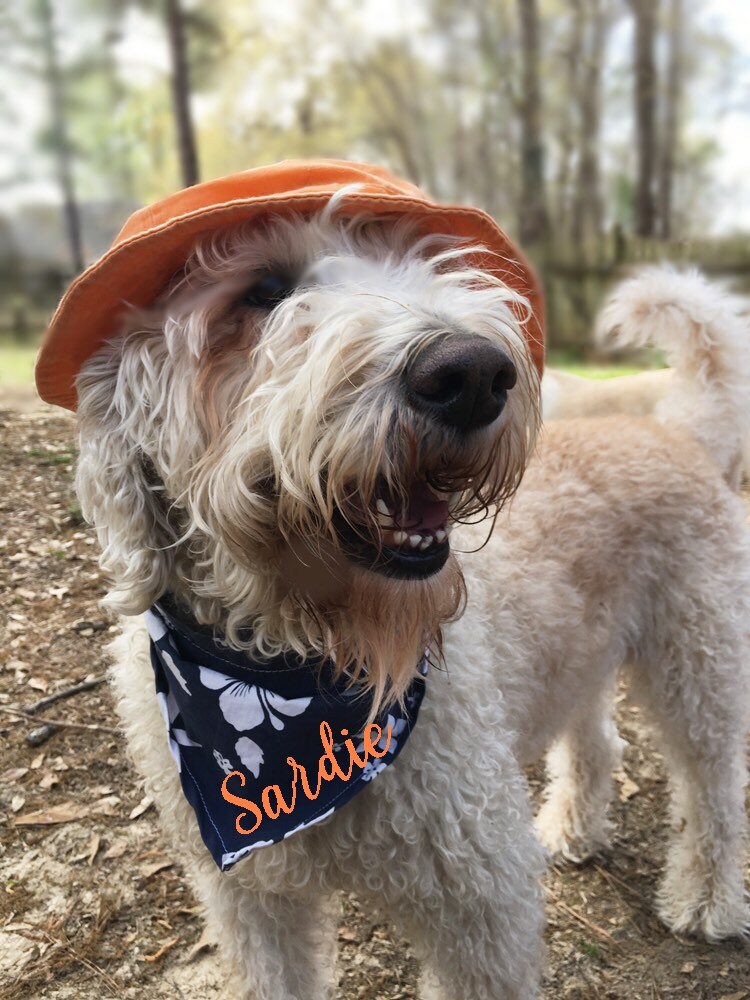 dog bandana personalized