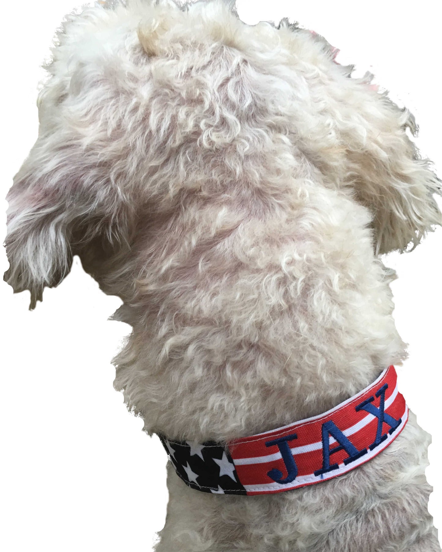 flag dog collar, american flag dog collar