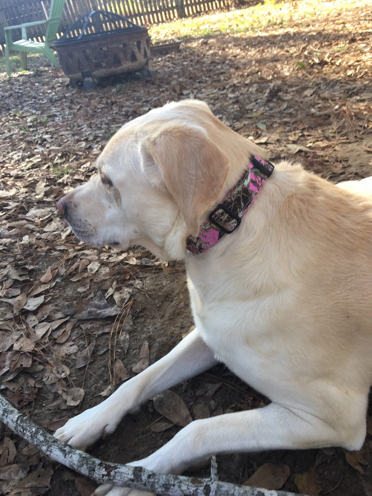 Camo Dog Collar, personalized dog collar, pink camo, dog lover gift, Dog, pet supplies, dog collar