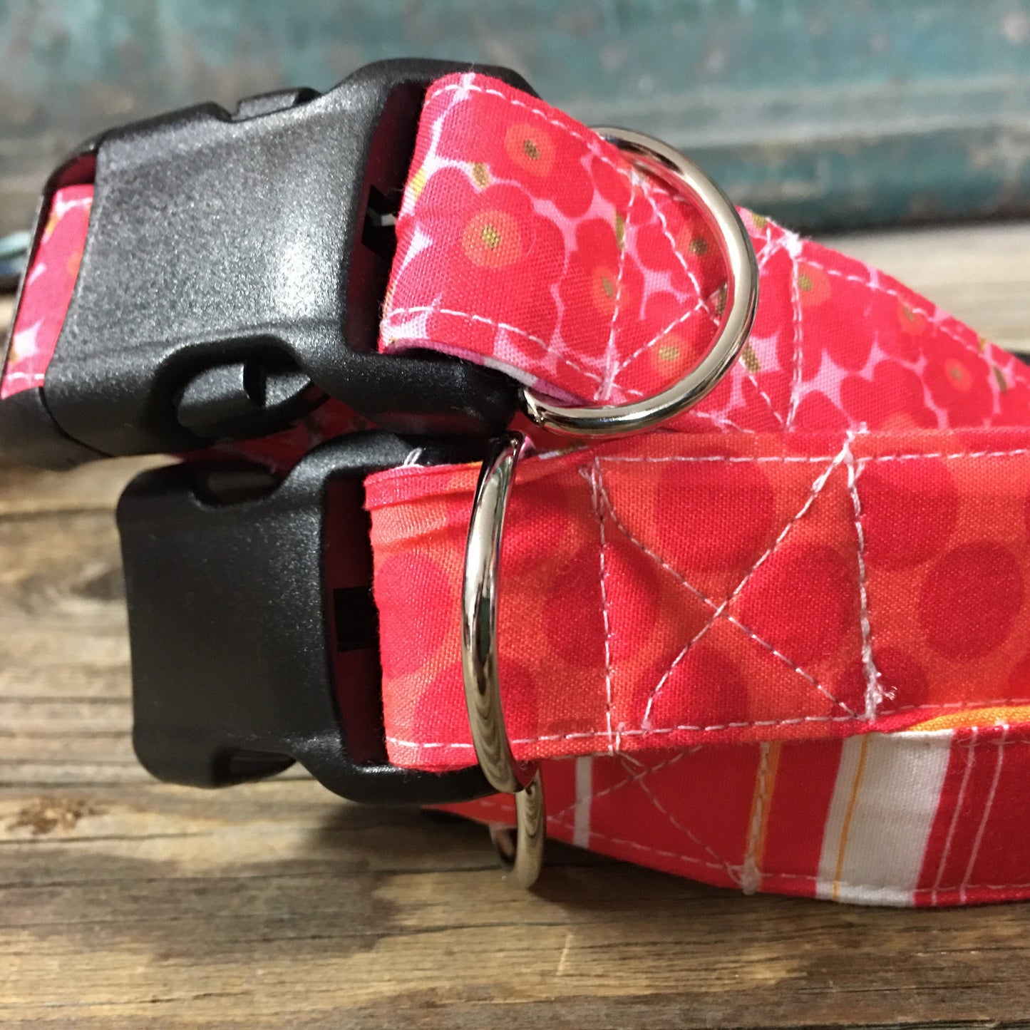 dog collar with dogs name