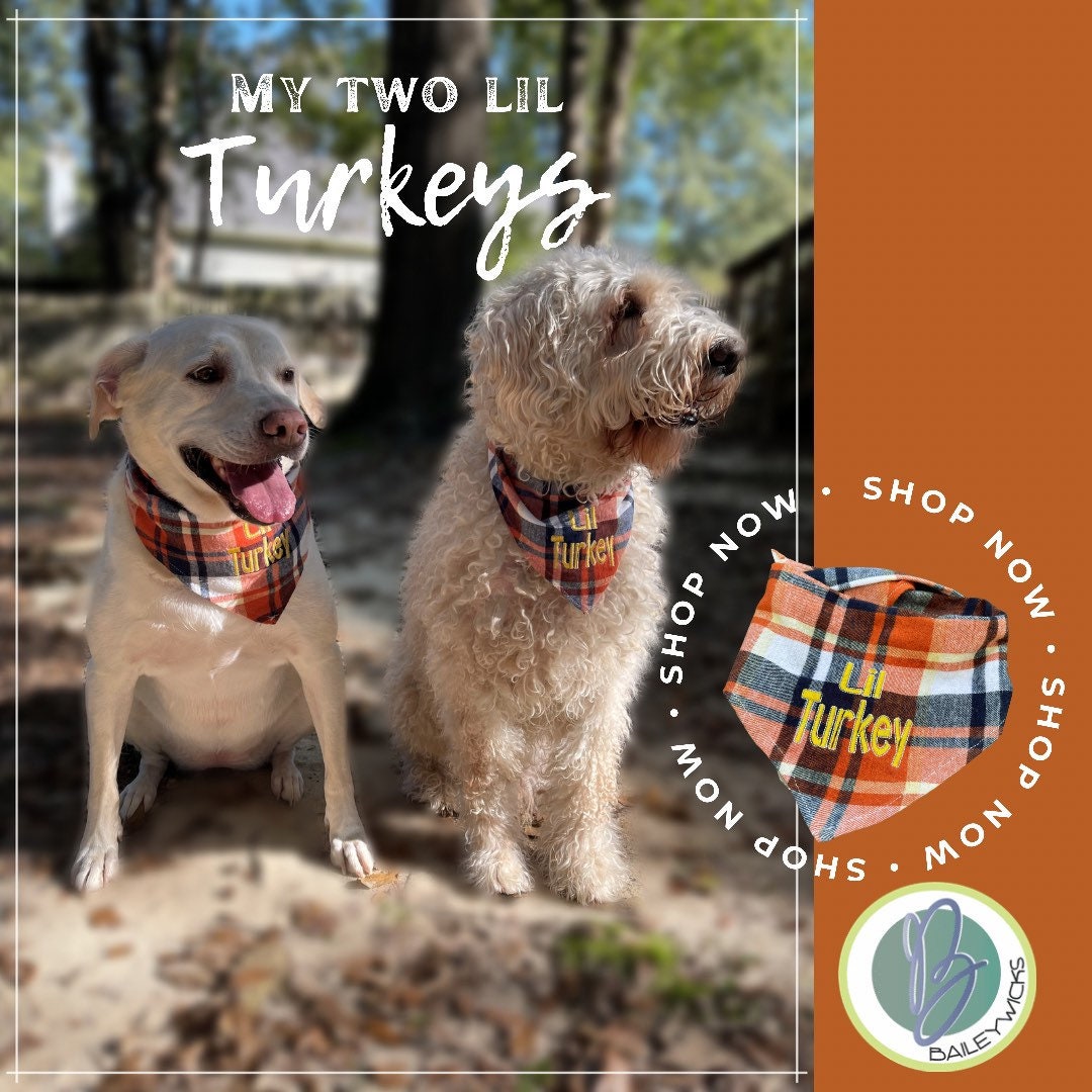 dog bandana fall plaid, Lil turkey dog bandana