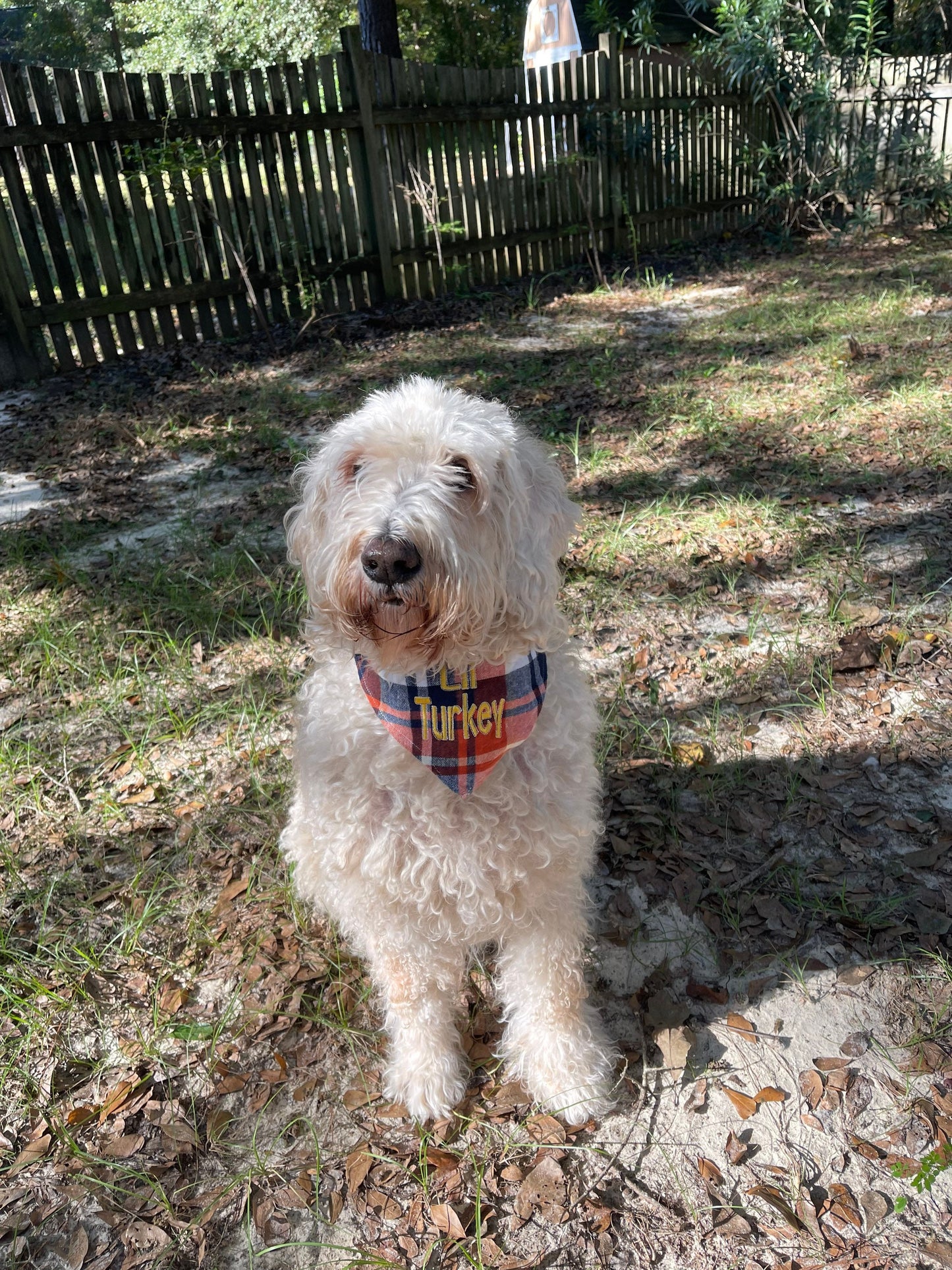 dog bandana fall plaid, Lil turkey dog bandana
