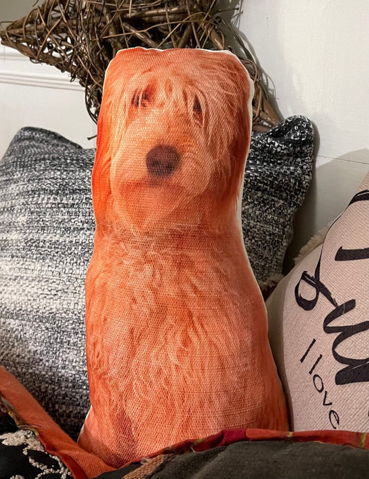 Custom pet pillow, pet picture pillow, puppy pillow, your pet picture pillow
