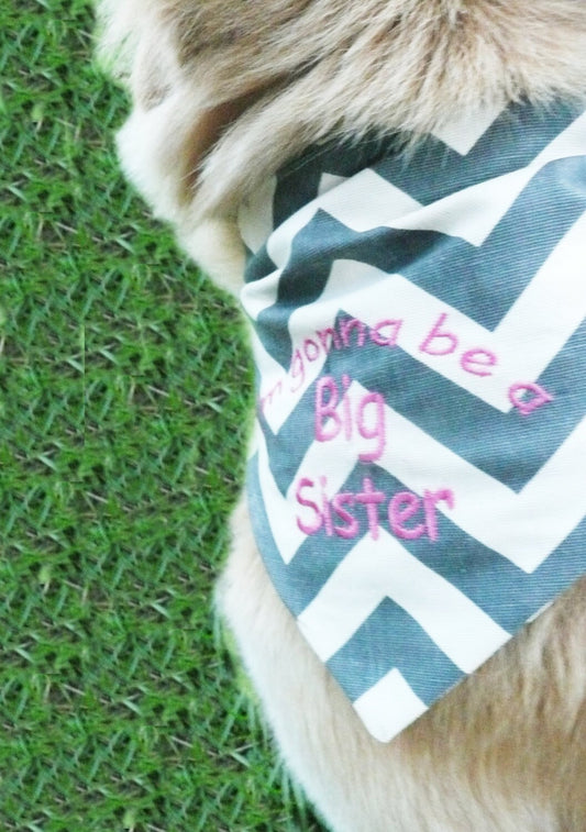 dog bandana, baby announcement, chevron dog bandana