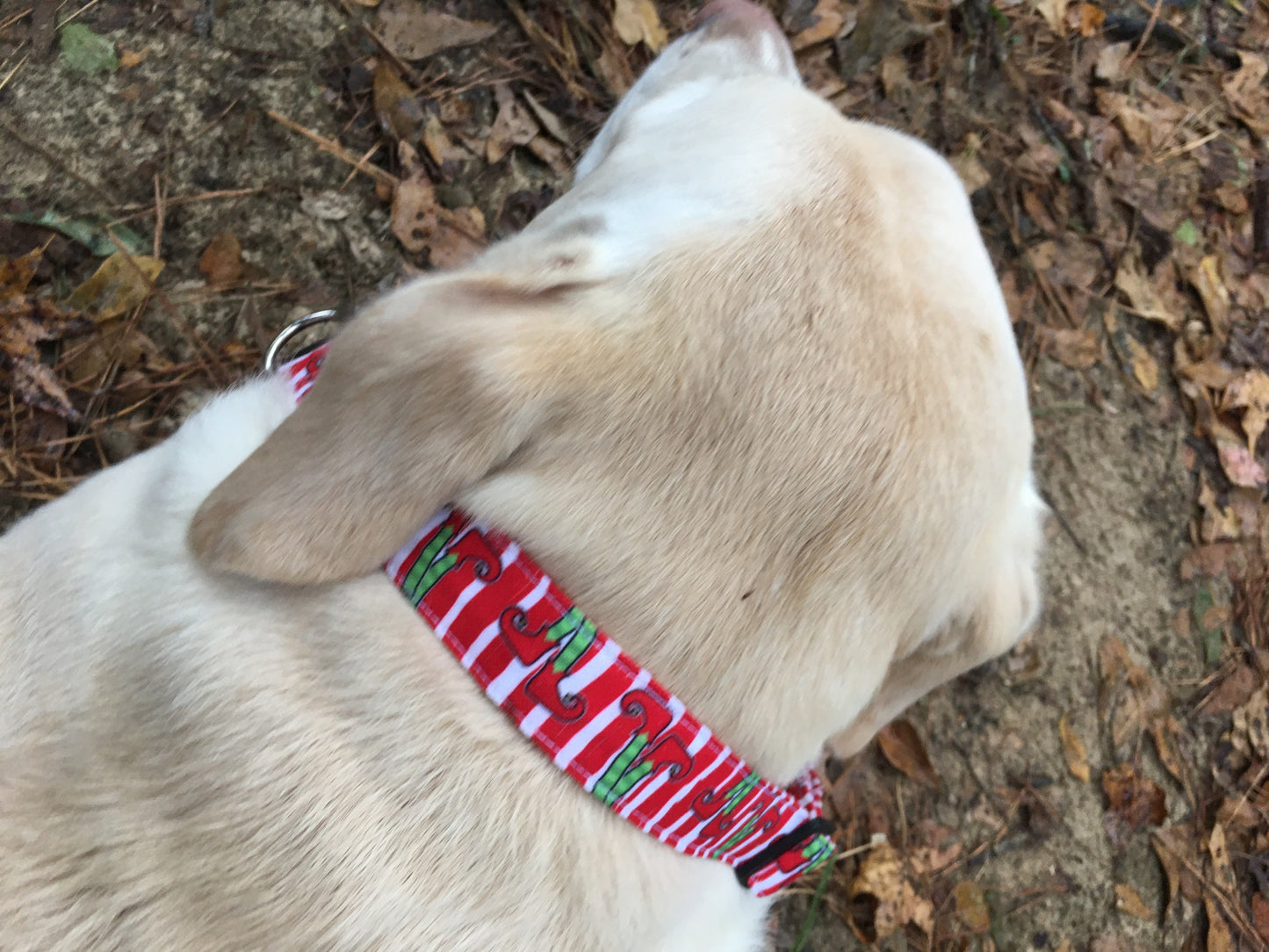 Christmas dog collar
