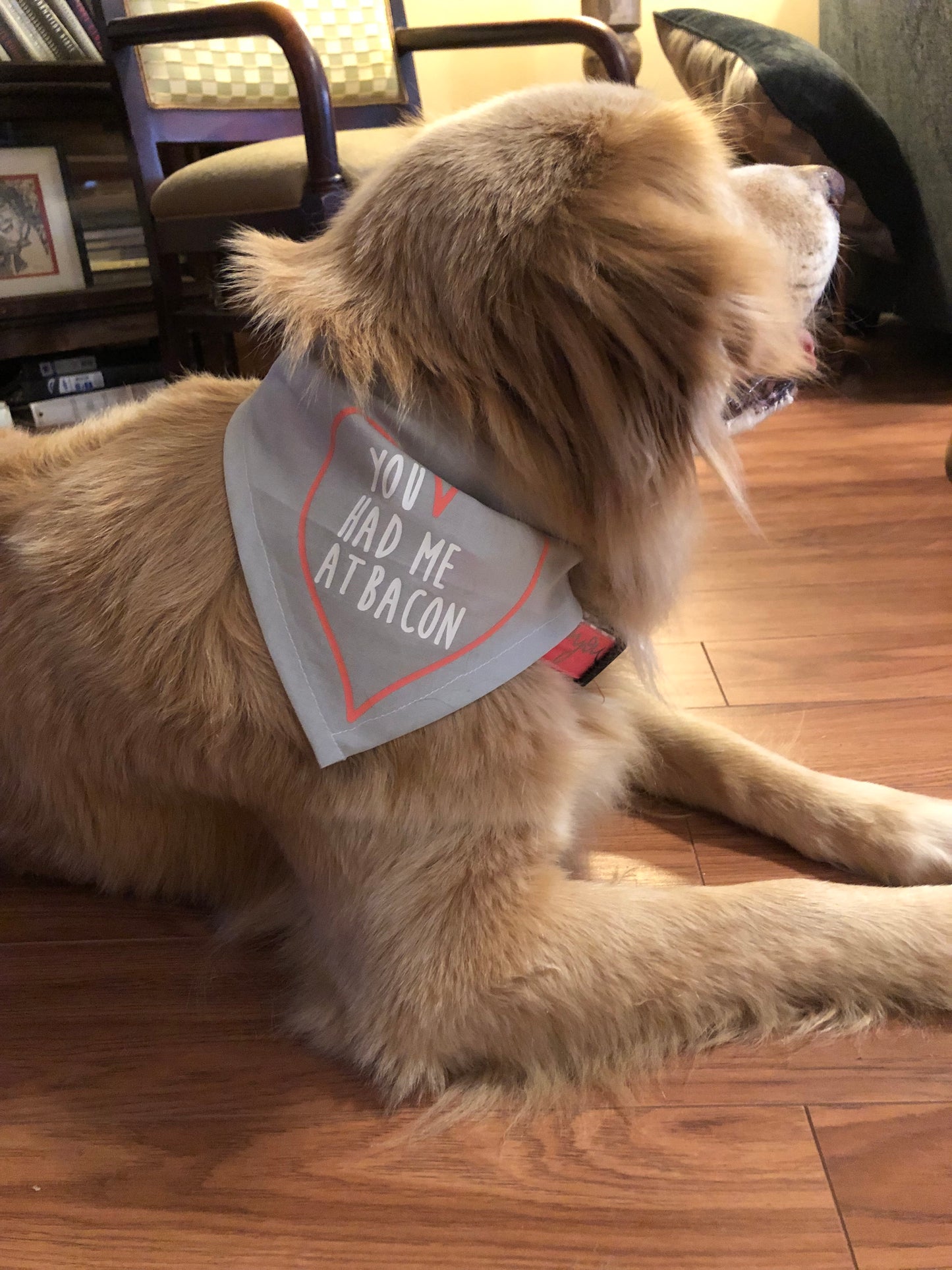 Valentines dog bandana, you had me at bacon