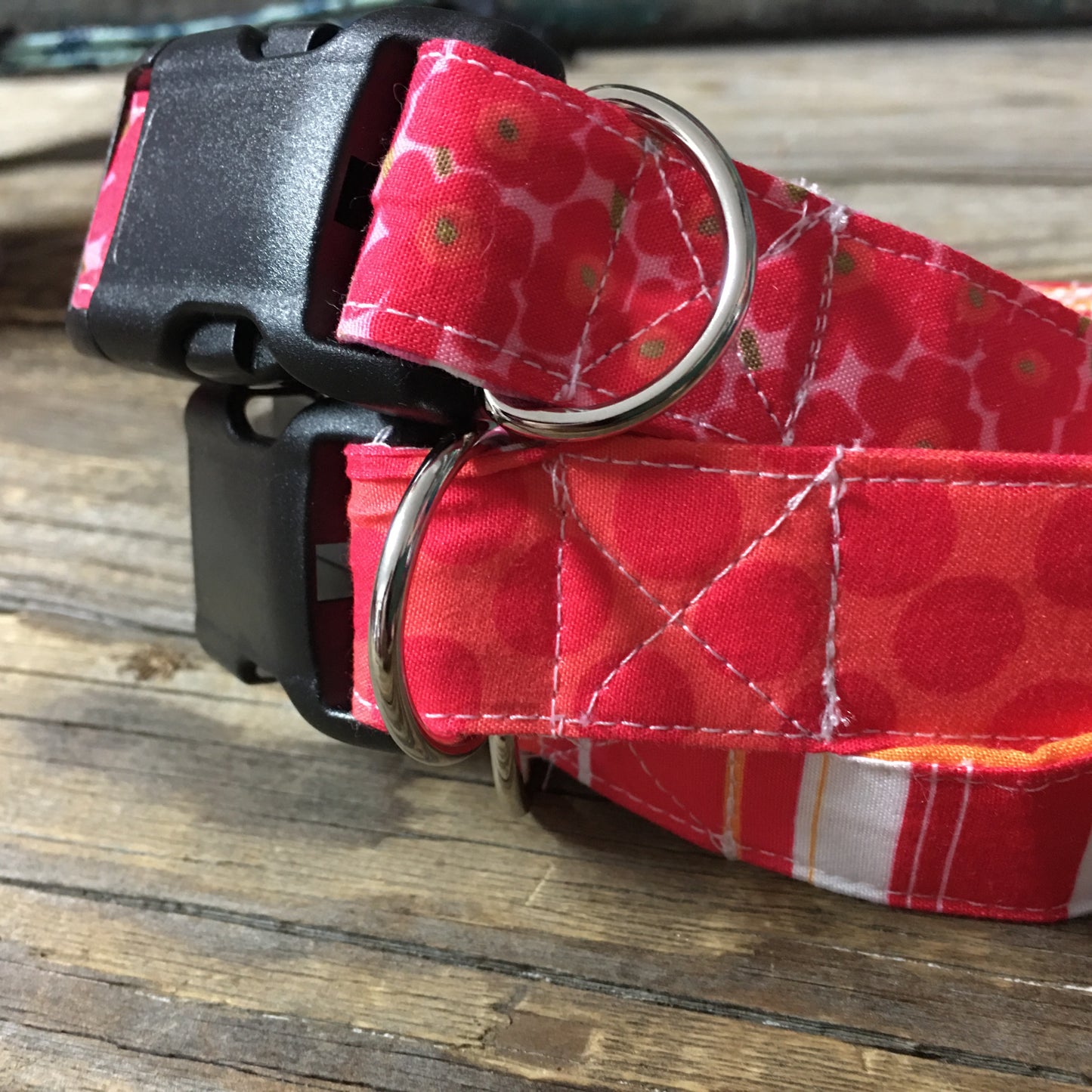 Citrus patterned dog collar