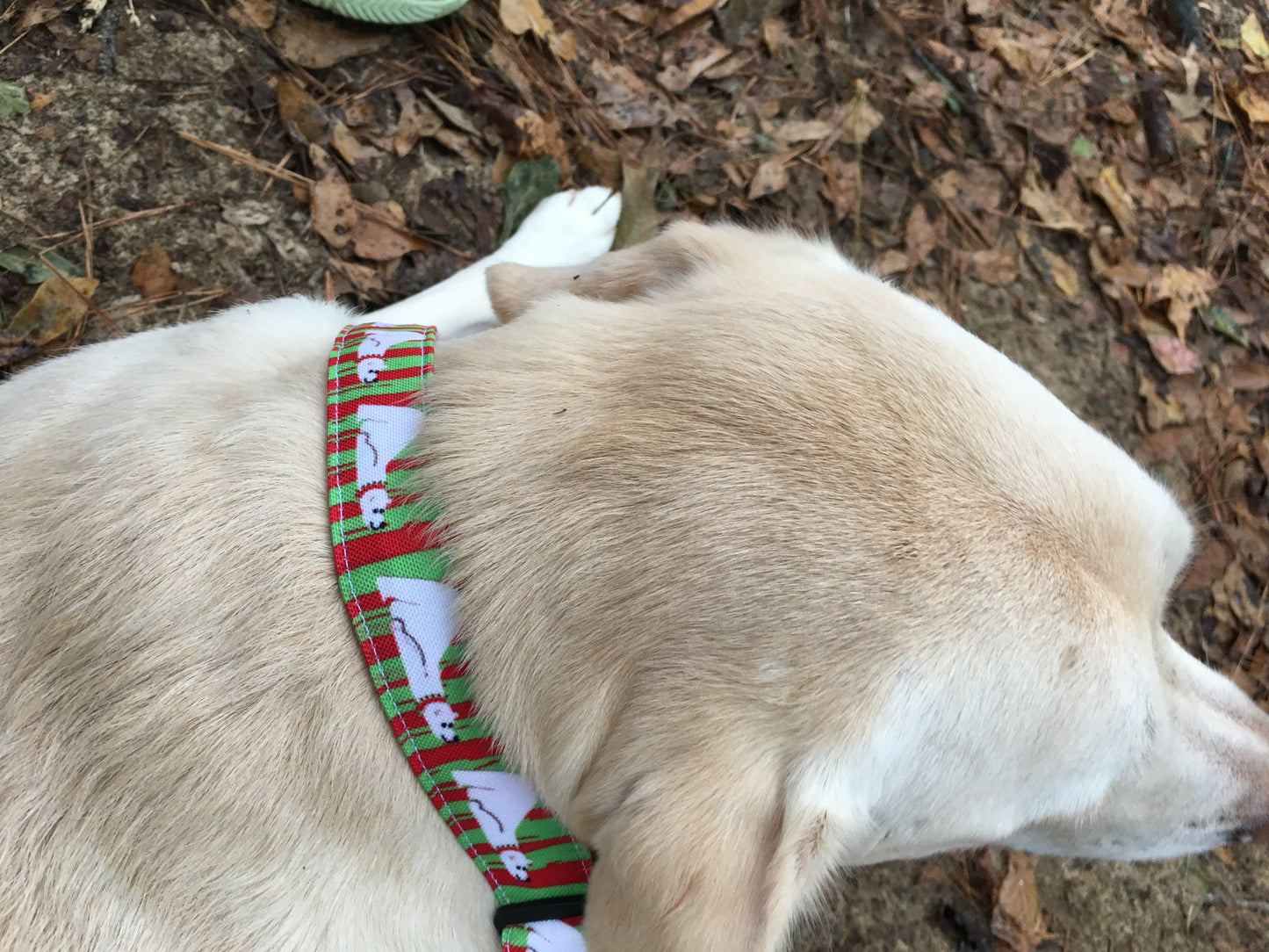 Christmas dog collar