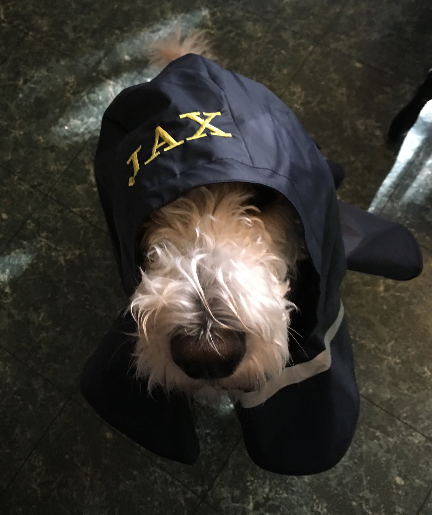 dog raincoat dog coat pet clothes dog raincoat