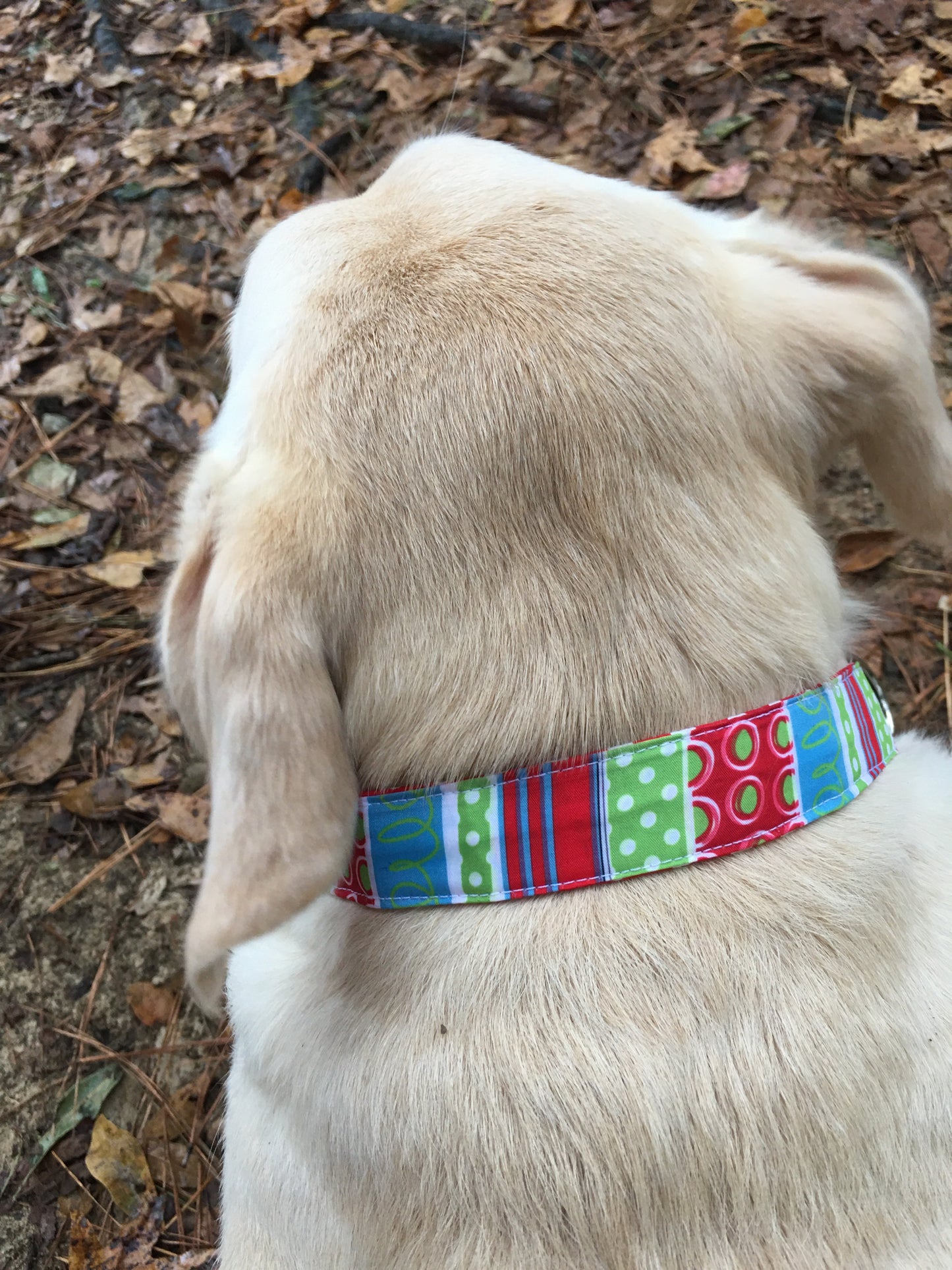 Christmas dog collar