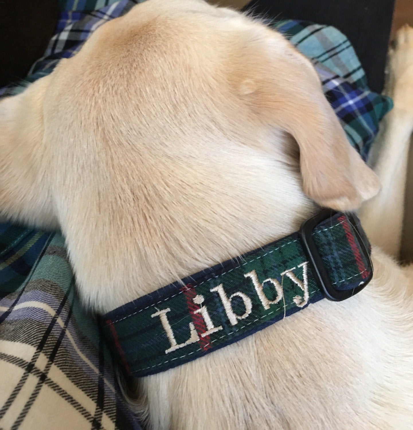Monogrammed Dog Collar, personalized dog collar, monogrammed dog collar