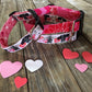 valentine dog collar, puppy love