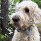 Seersucker bowtie