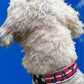 flag dog collar, american flag dog collar