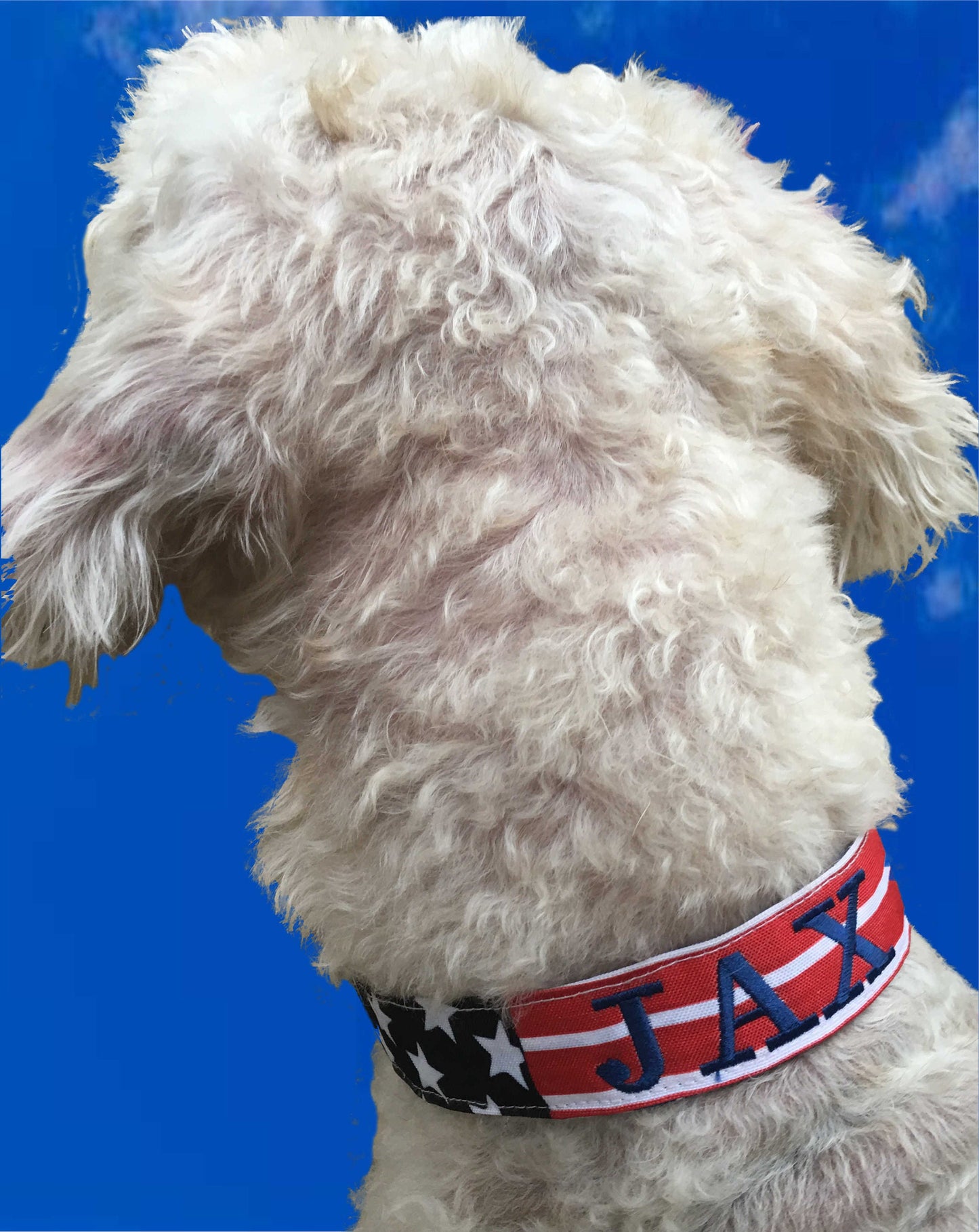 flag dog collar, american flag dog collar