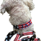 flag dog collar, american flag dog collar
