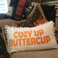 Fall decor pillow, farmhouse pillow,