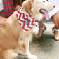 dog bandana, baby announcement, chevron dog bandana