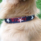 Red white blue dog collar, Monogrammed Dog Collar,personalized dog collar, patriotic dog collar