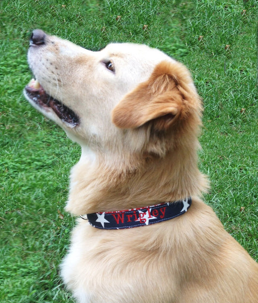 Red white blue dog collar, Monogrammed Dog Collar,personalized dog collar, patriotic dog collar