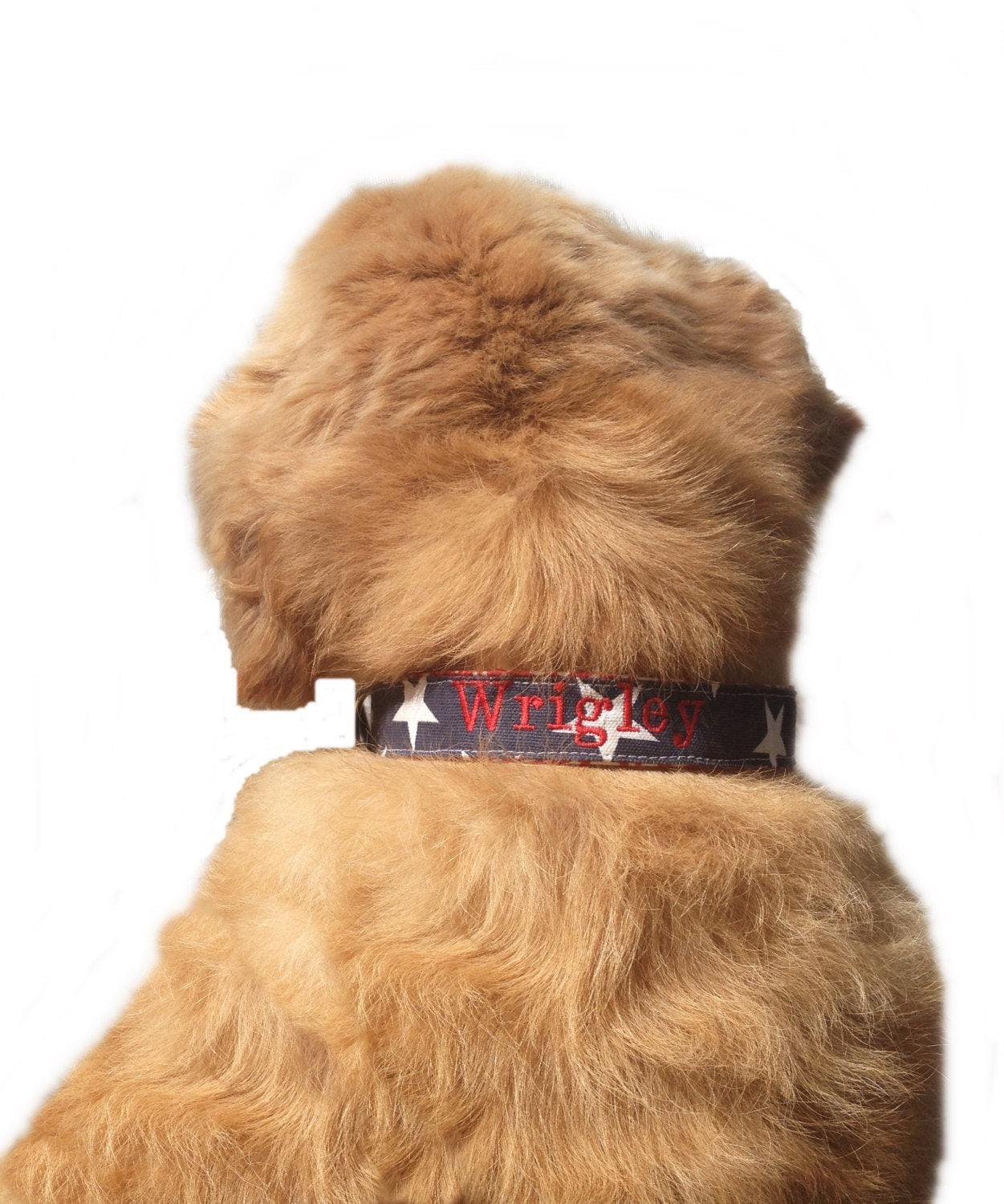 Monogrammed Dog Collar,personalized dog collar, beach dog collar