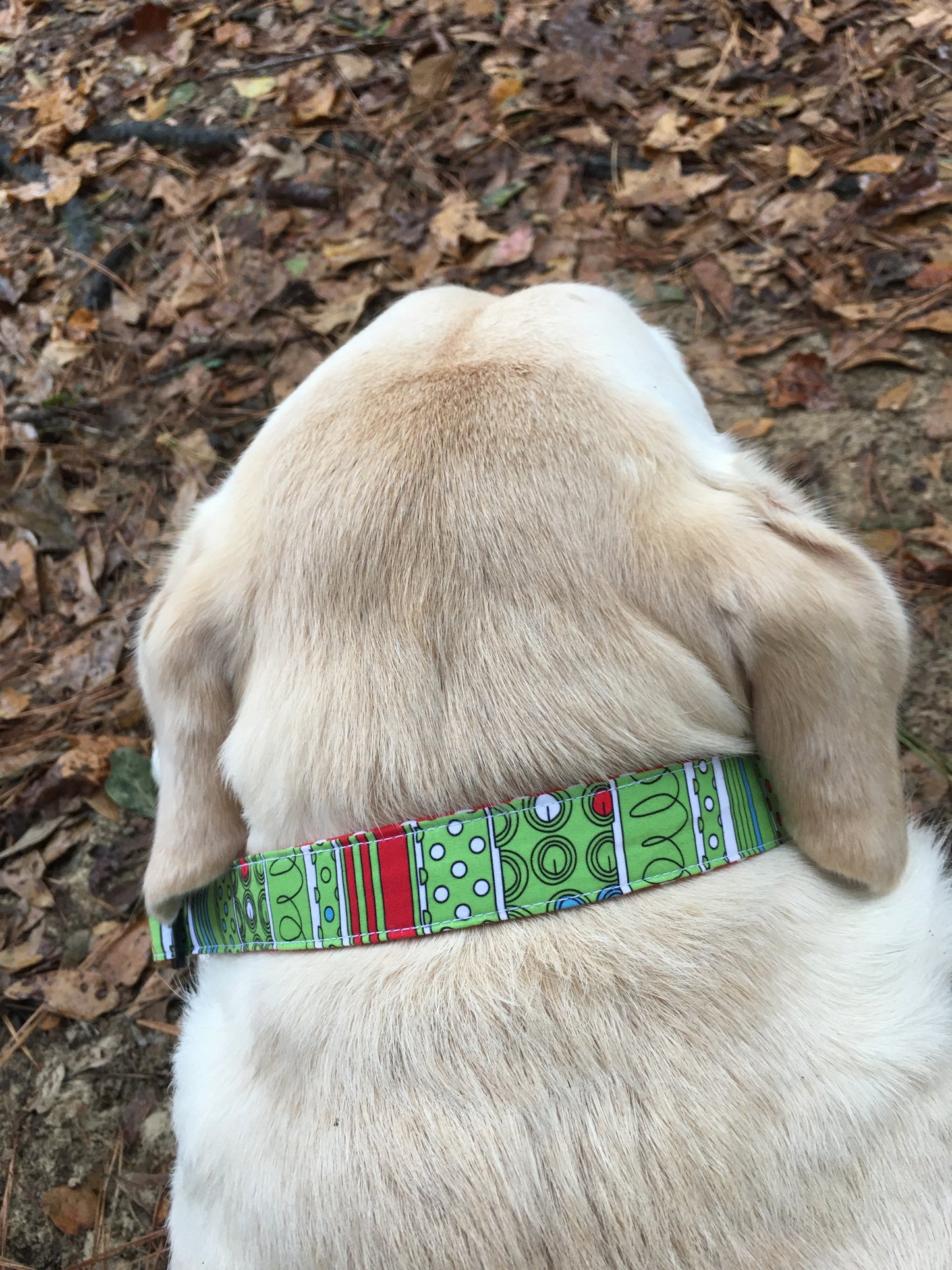 Christmas dog collar
